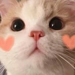 Daniela Solís avatar